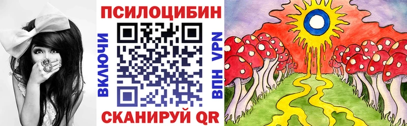 Псилоцибиновые грибы Psilocybe  Купить где  Нюрба 
